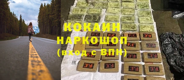 дмт Абаза