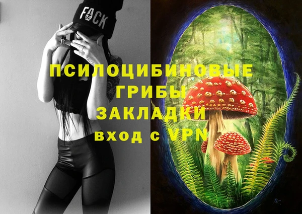 дмт Абаза