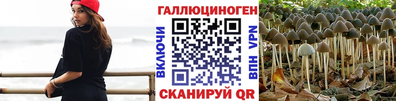 купить наркоту Шахты Псилоцибиновые грибы ЛСД
